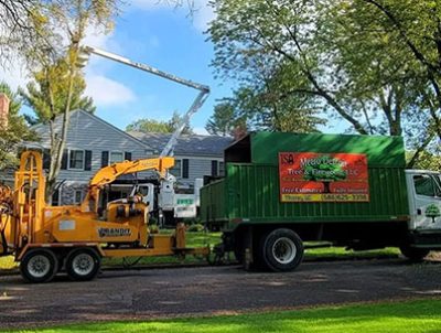 tree-trimming-service-home